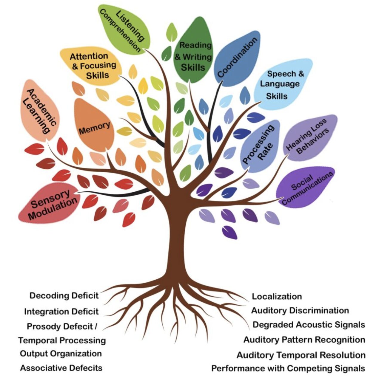 Auditory Processing Disorder help in San Diego, Carlsbad, Encinitas, Carmel Valley, Solana Beach and Del Mar